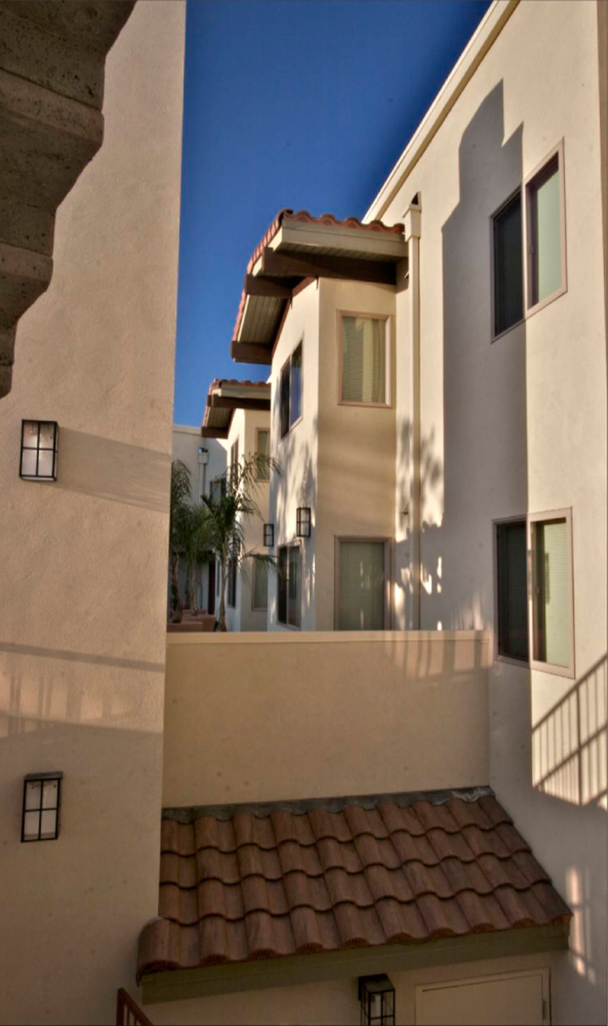 View of apartments from the courtyard of Acalanes Court in Walnut Creek, CA.