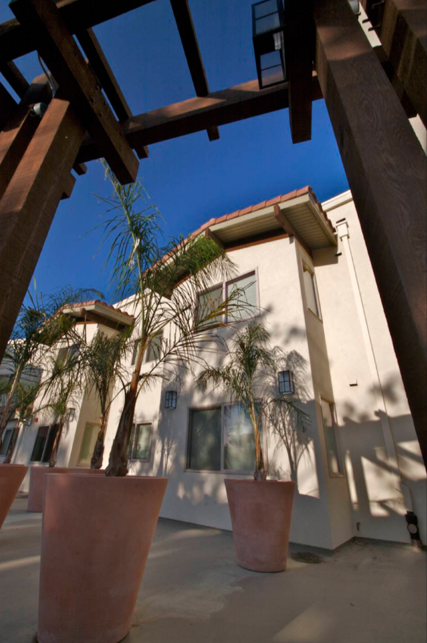 Portrait view from the courtyard of Acalanes Court in Walnut Creek, CA.