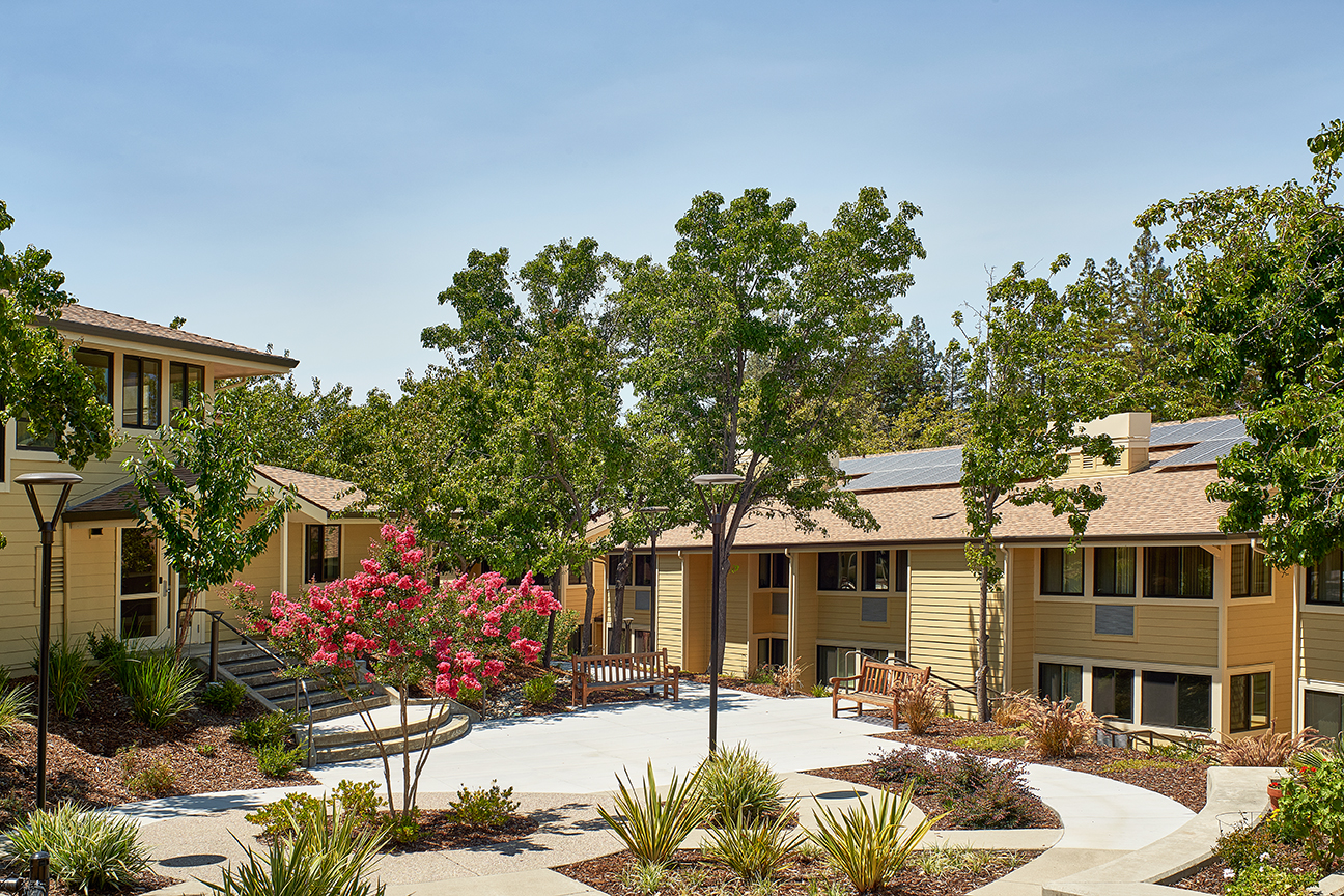 Tree-lined courtyard at Casa Montego in Walnut Creek, CA.
