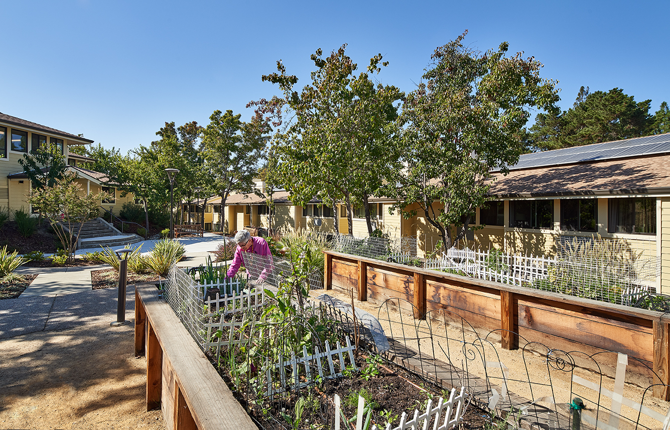 Garden beds at Casa Montego in Walnut Creek, CA.