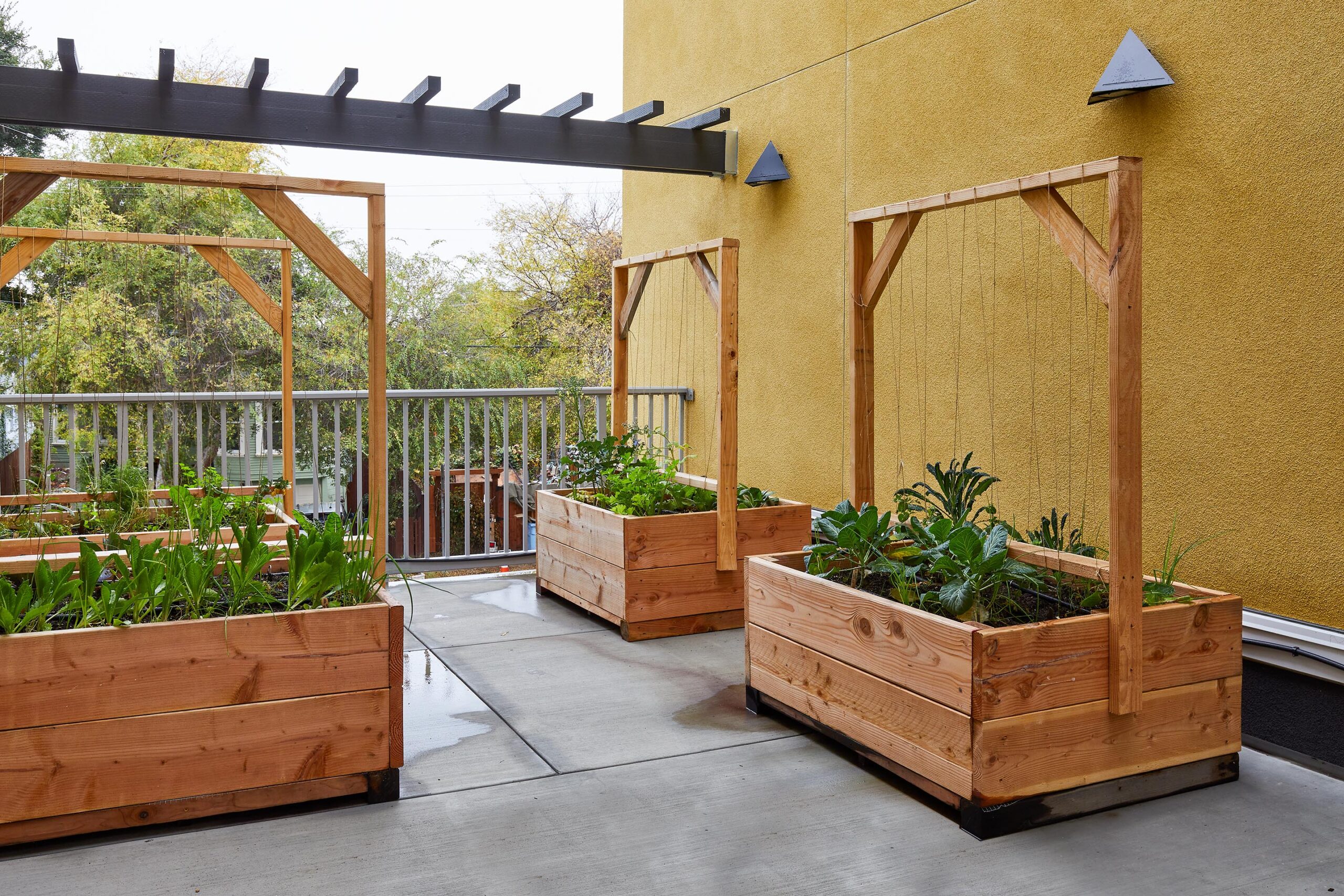 Parterres en Harper Crossing, Berkeley, California