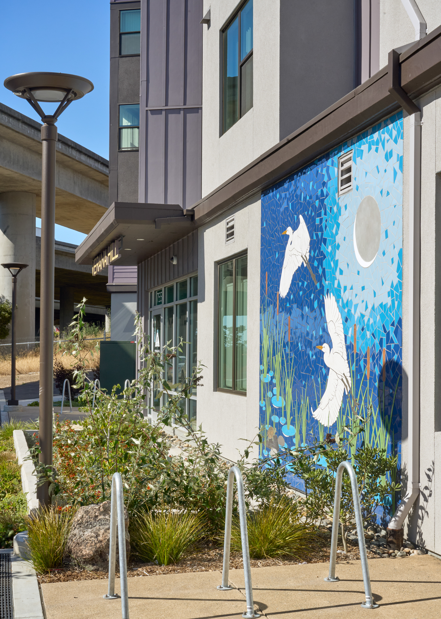 Mural detail at Verana Hill in Albany, CA.