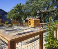 Alta Madrone Affordable Apartments Filling with New Residents 4
